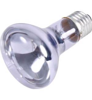 Neodymium Warmtelamp 75 W