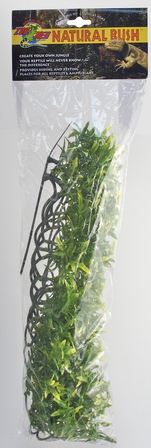 Bolivian Croton 36 cm Smal