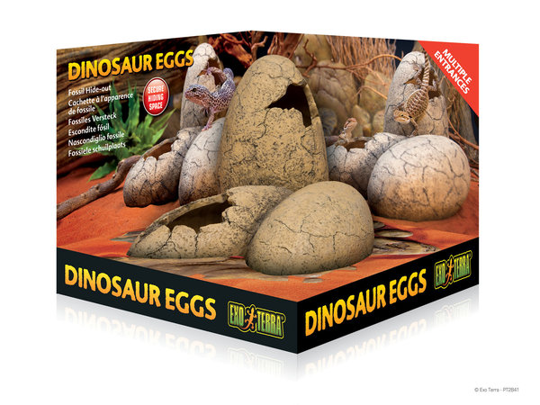 Dinosaur Eggs Large